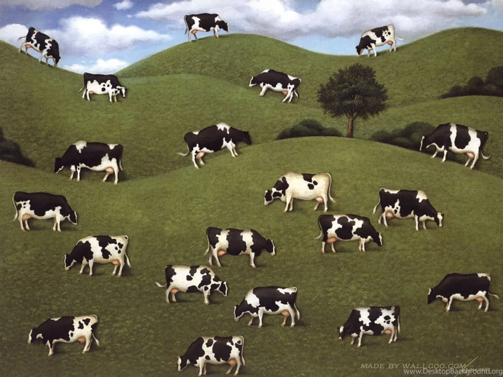 Lowell Herrero Cows Cows Cows Wallpapers 1024x768 NO.12 Desktop ...