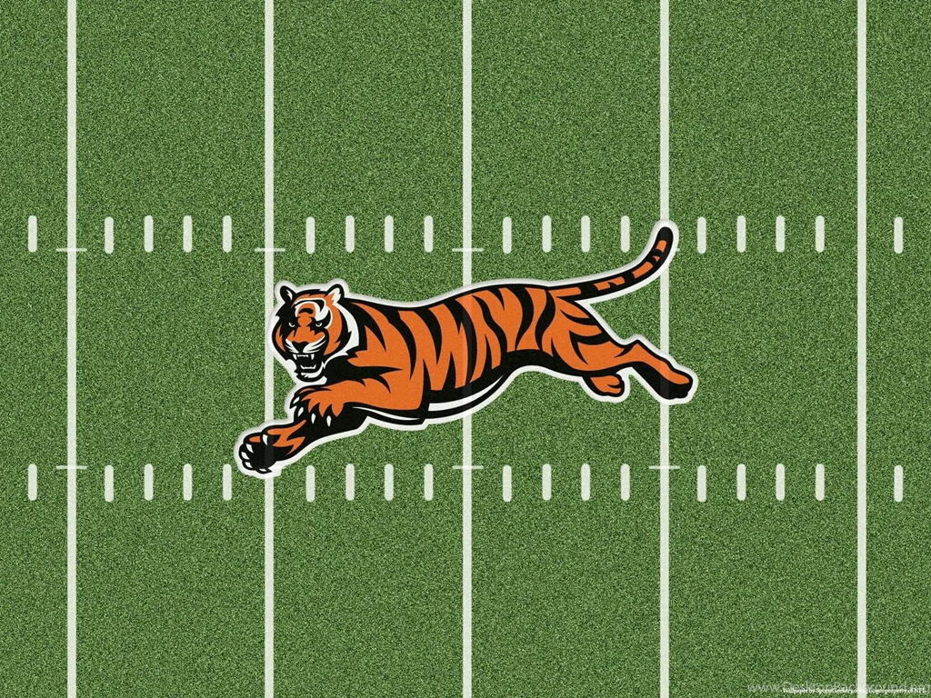 CINCINNATI BENGALS Nfl Football V Wallpapers