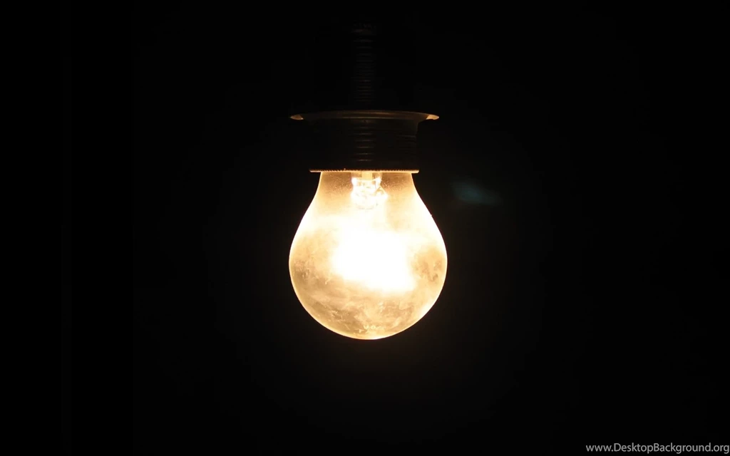 Fawn Baby Snout Spot Light Backgrounds Deer Wallpapers