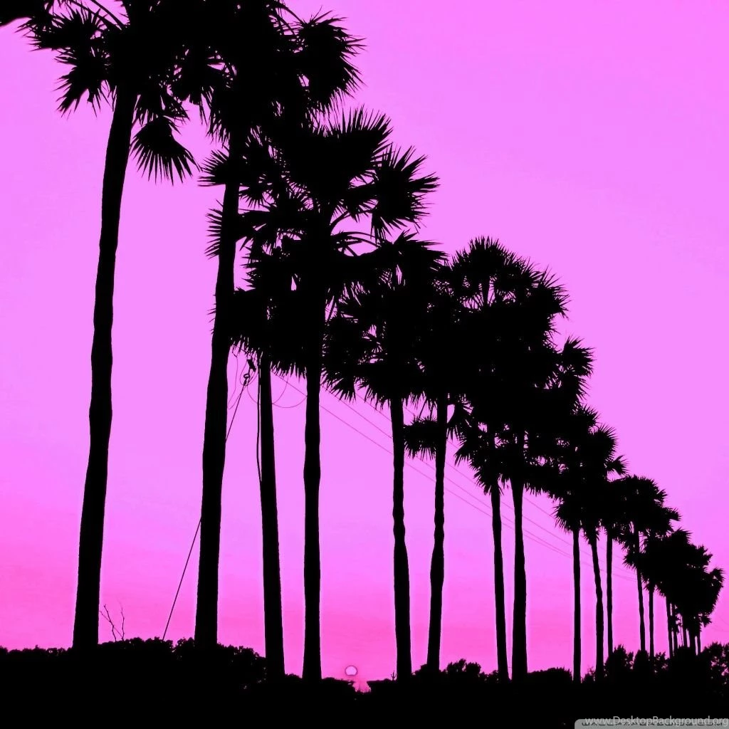 Cute Trees HD Desktop Wallpapers : Widescreen : High Definition ...
