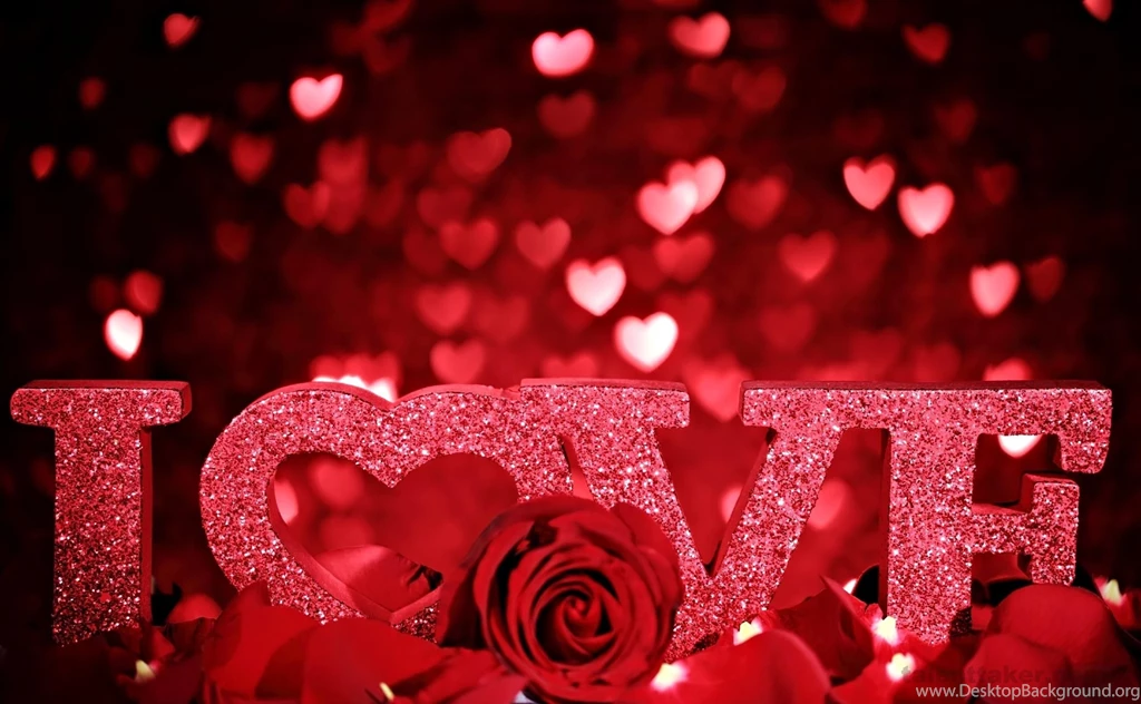 2560x1600px Red Rose Wallpapers HD