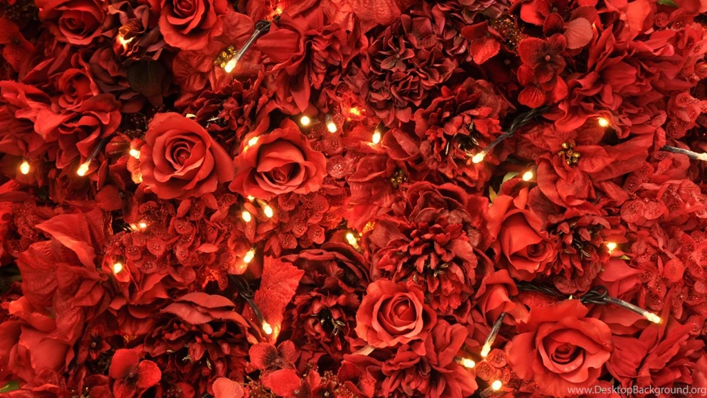 Red Roses Lights Wallpapers