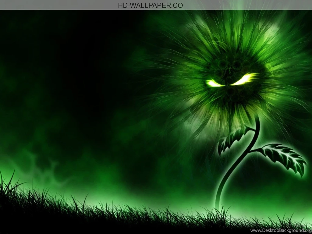 HD Cool Wallpapers Free Download 3D Wallpapers Wallpoop The ...