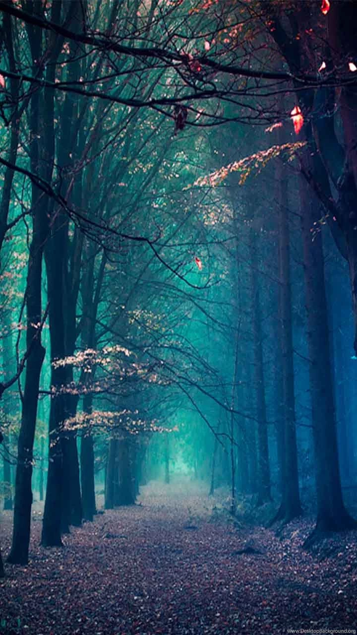 Download Free Nature/Landscape Mobile Phone Wallpapers For All ...