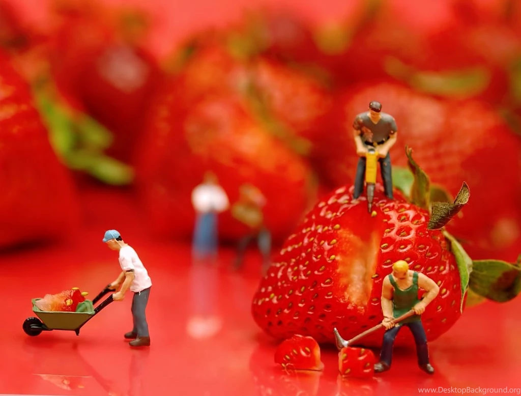 Amazing Nature Wallpapers, Plants, Green, Fresh, Iphone Desktop ...