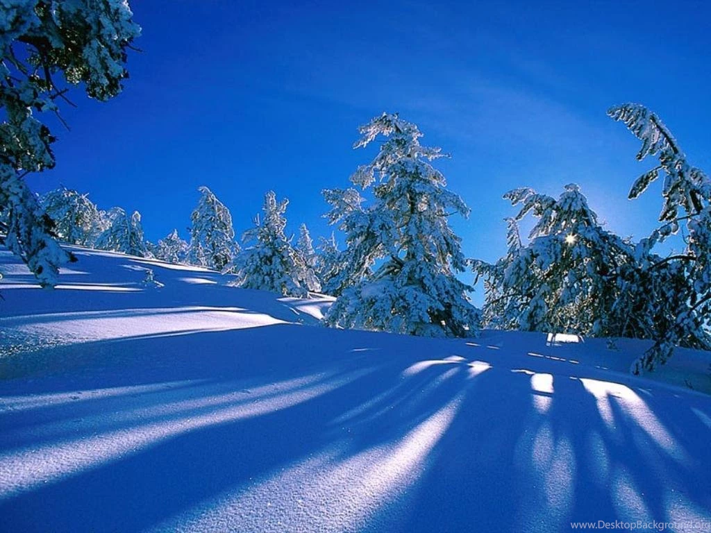 Christmas Winter Scenes Wallpapers 2015 Grasscloth Wallpapers