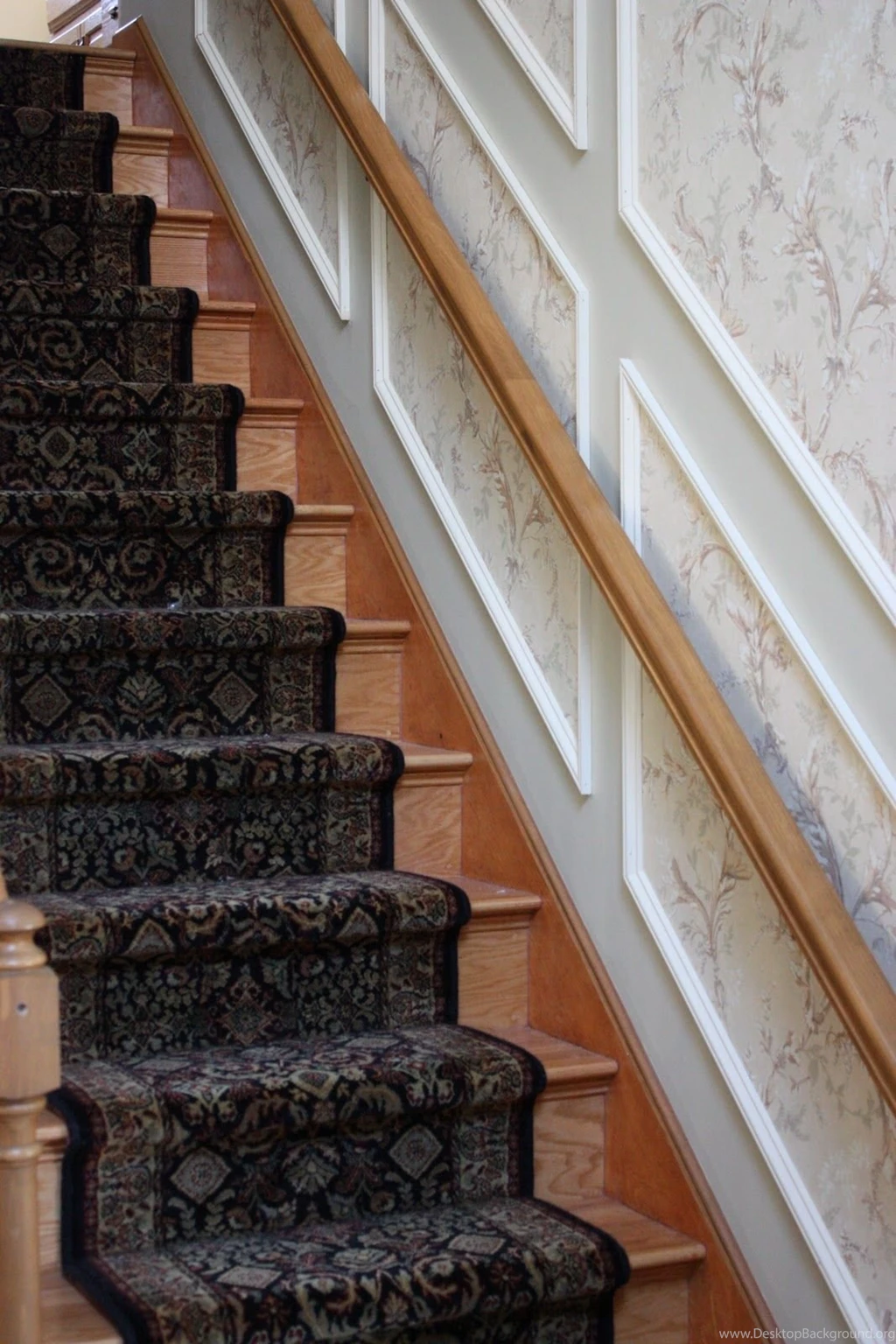 Carol Beck Home: March 2011