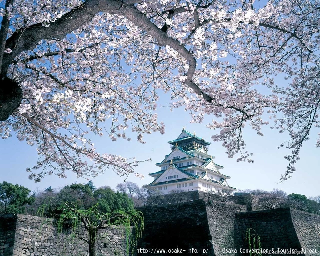 Wrap Up III – Hello Japan, Hello Osaka, Hello EMBC!