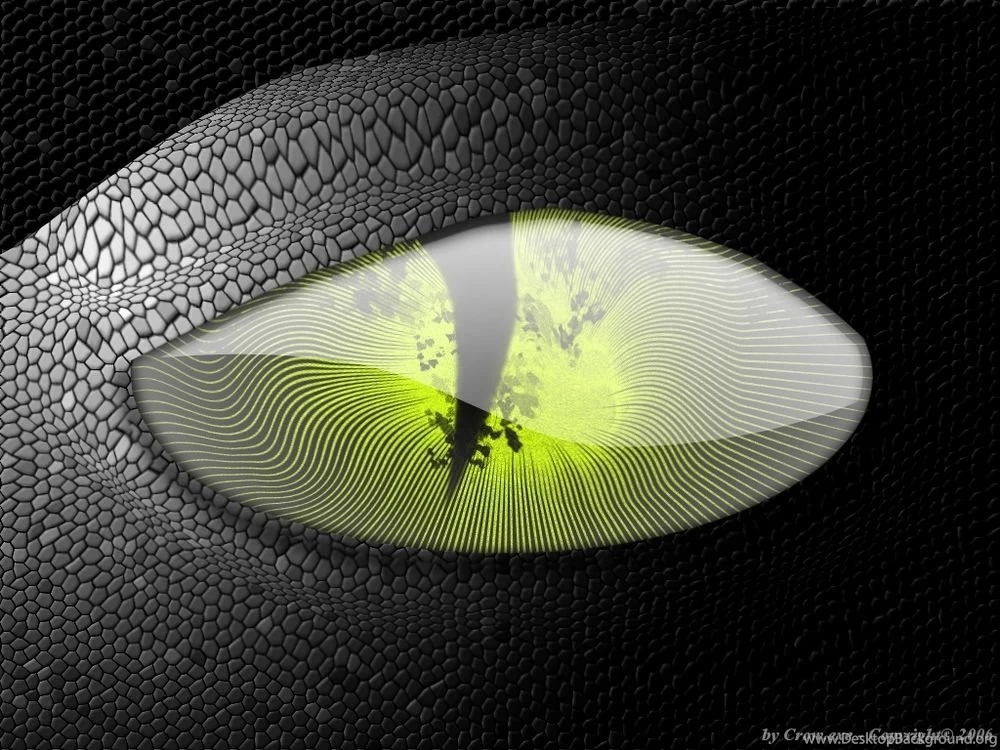 Wallpapers   Anaconda By Crow.exe   Customize.org