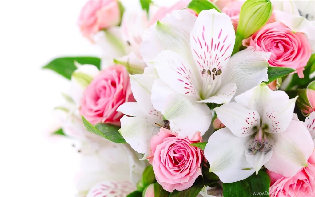 A Bouquet Flowers, Pink Roses, White Orchids Wallpapers