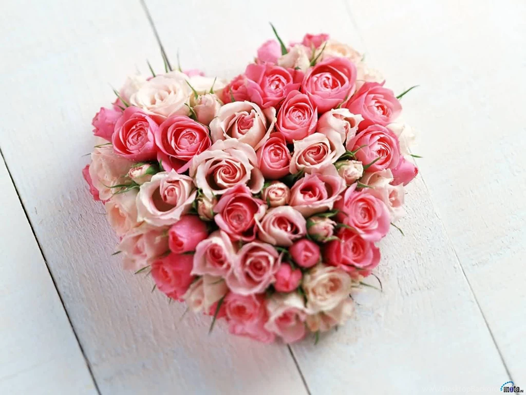 Wallpapers Roses Love White Rose Heart Valentines Day 1600x1200 ...