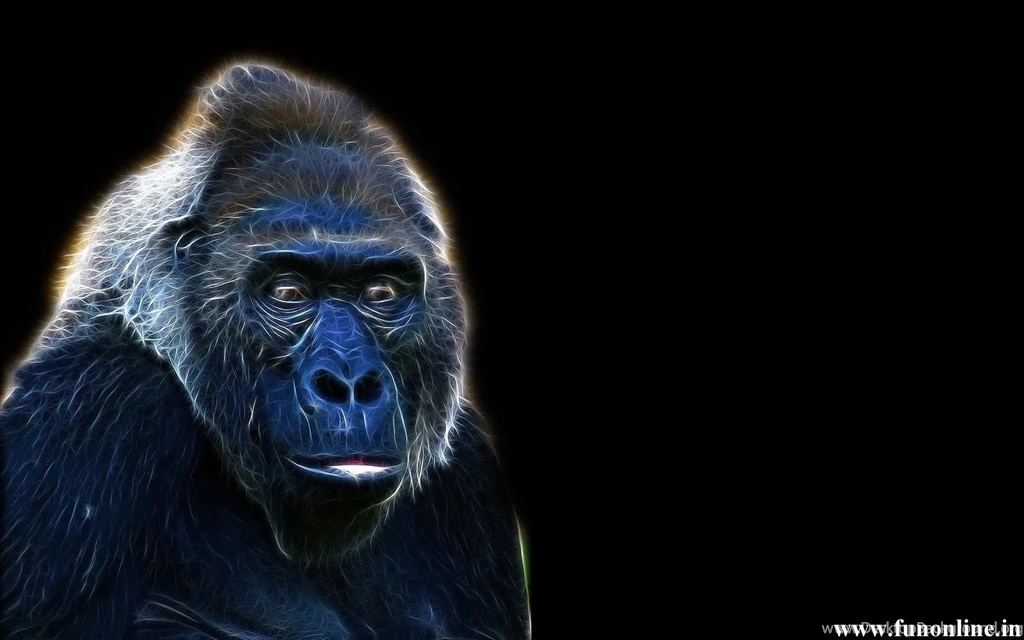 Gorilla Wallpapers, Download Free Giant Gorillas HD Wallpapers