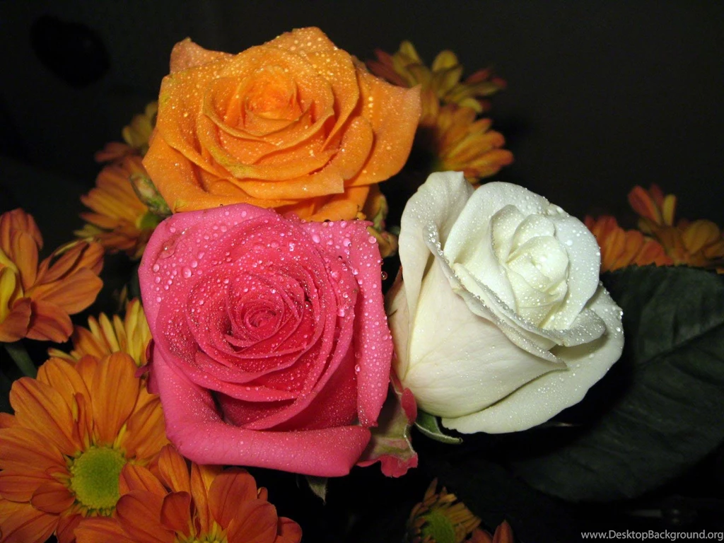 A White Orange Pink Rose Bouquet   (