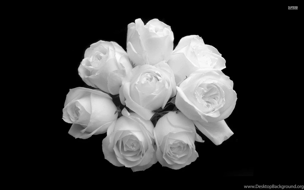 Pink Rose Bouquet Wallpapers   Flower Wallpapers