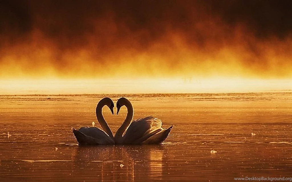 BestLoveHdWallpapers.Com: The Leading Best Love Hd Wallpapers Site ...