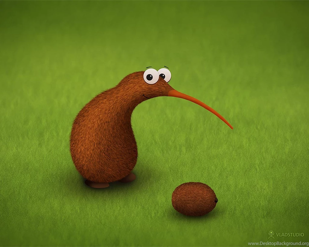 Kiwi Wallpapers Wallpapers Cave