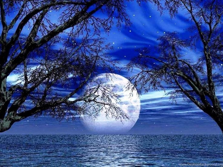 3D Screensavers That Move