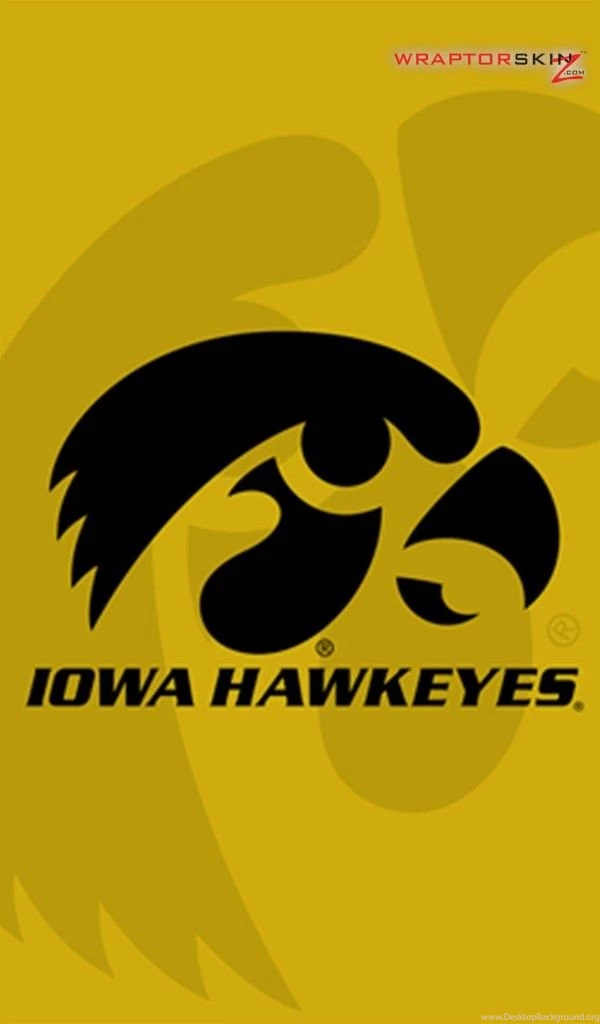 Iowa_Hawkeyes_Tigerhawk_Black_on_Gold_42_739.jpg