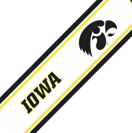 NCAA Iowa Hawkeyes Prepasted Wallpapers Border Accent Roll ...