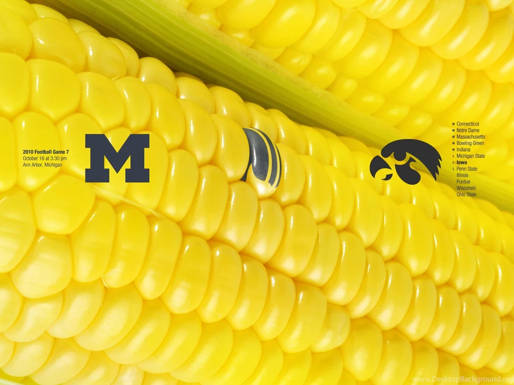 Maize Is Blue – 2010 Game 7 – Michigan Football Fan Art