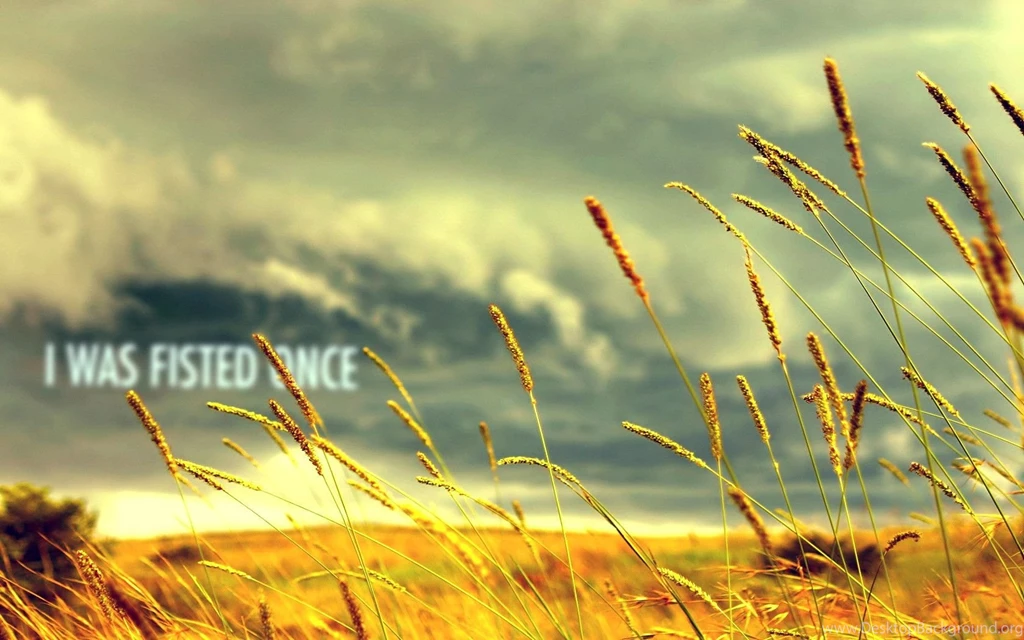 If 4chan Made Wallpapers. : Wallpapers