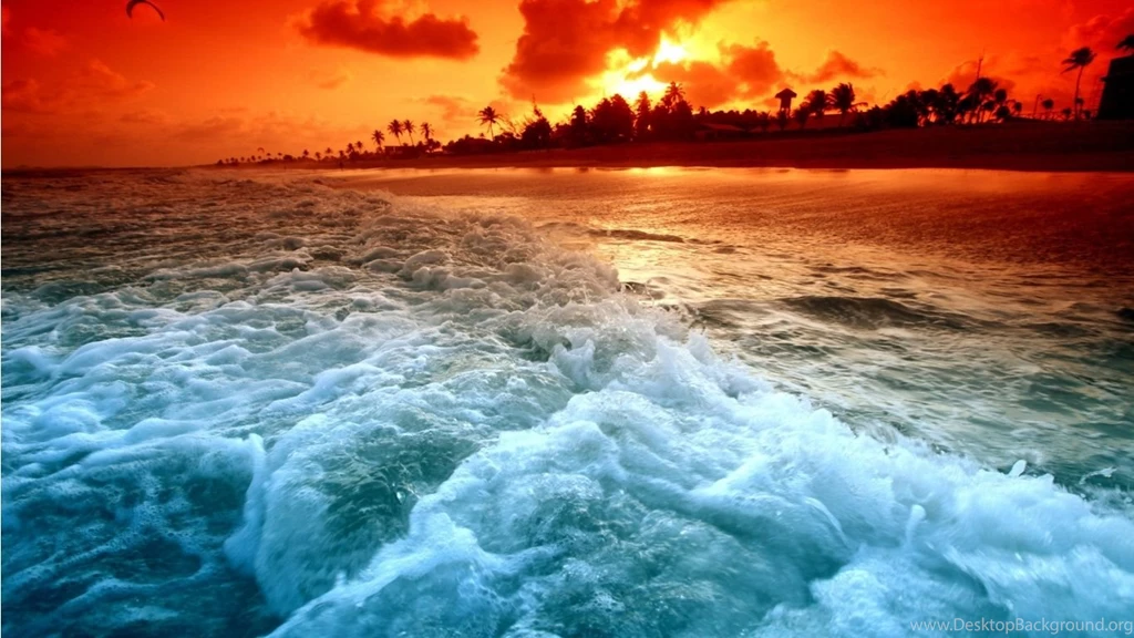Download Download Nature Wallpapers Full HD