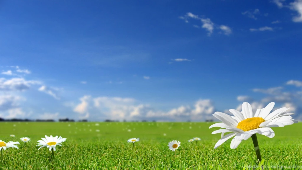 30 Beautiful Backgrounds