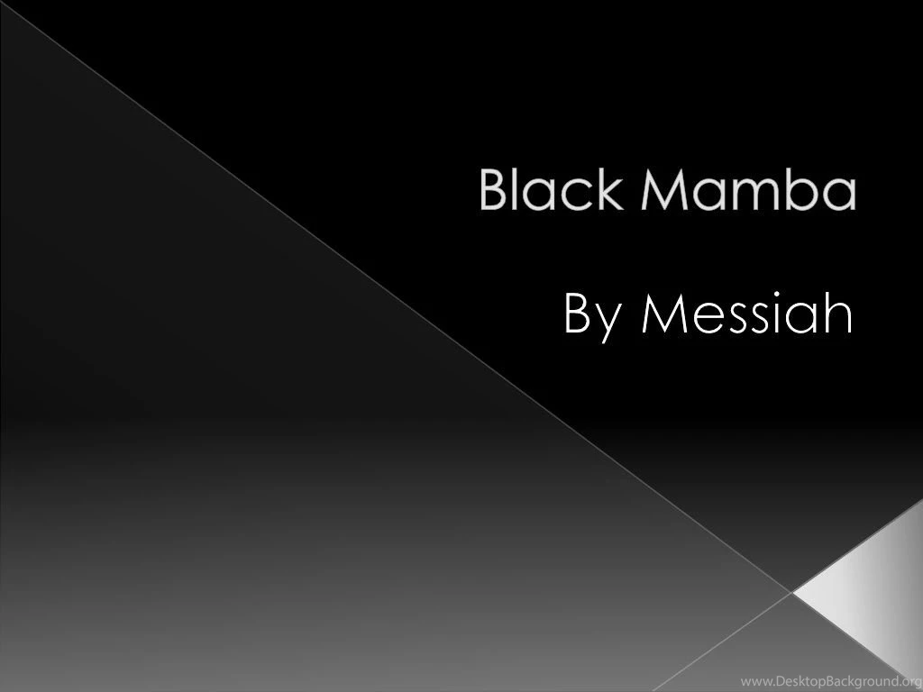 Eminent Spine Black Mamba (Video Presentation) — Ofslides