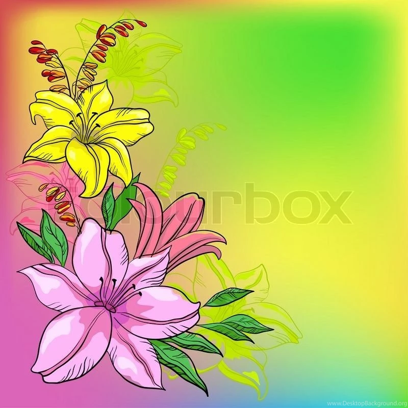 Flower Background, Cosmos Flowers And Leaves And Sun Rays