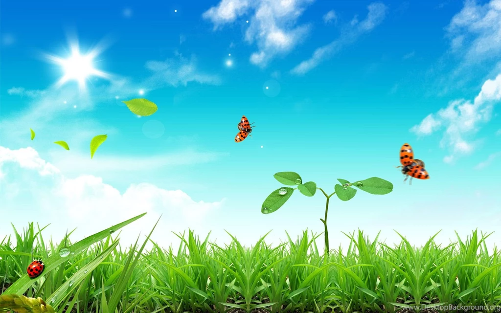 Summer Landscape Wallpapers 22475 Wallpapers Landscape Scenery ...