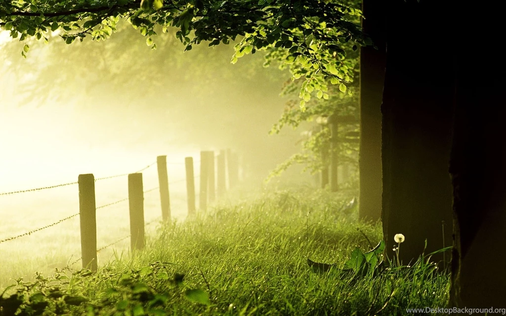 Spring And Summer Scenery   Scenery Pics Wallpapers (22175505)   Fanpop