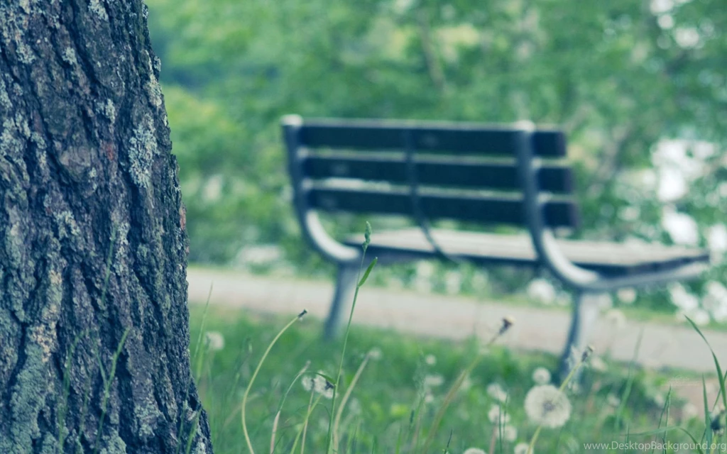 Chang, Images, Summer, Scenery, Wallpapers (