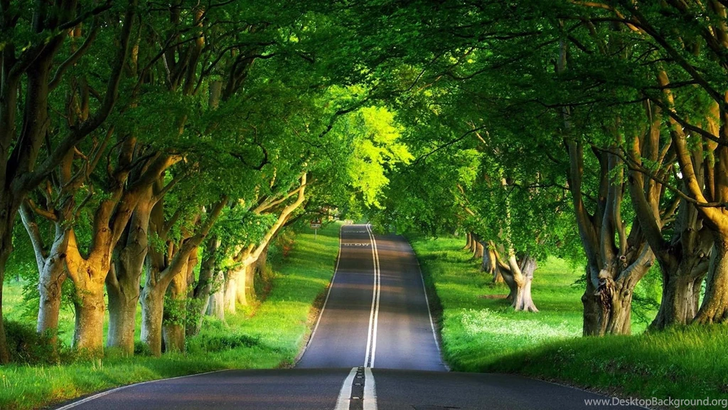 Http://p1.pichost.me/i/15/1377485.jpg