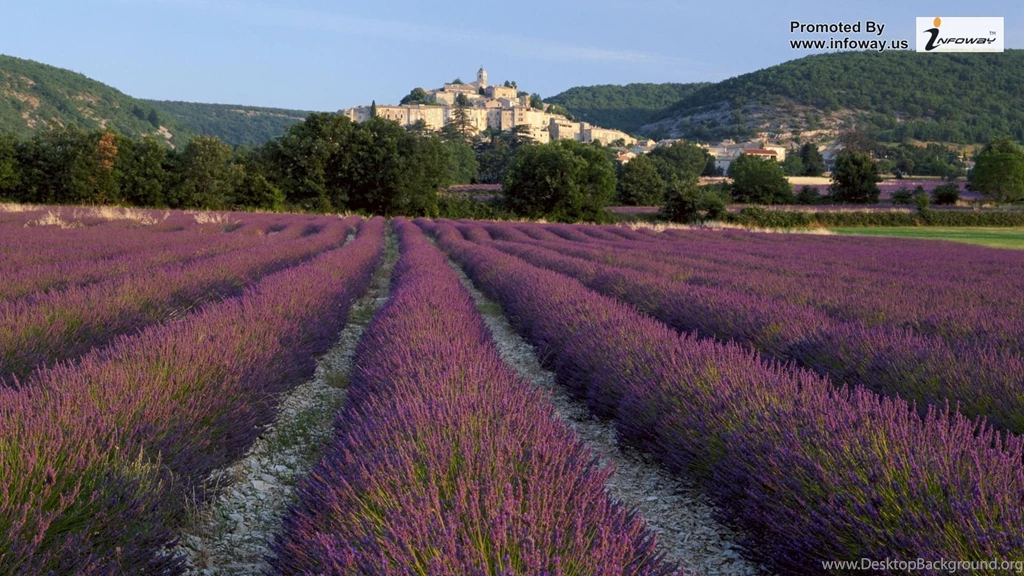 Beautiful Summer Scenery   Photo 229 Of 413