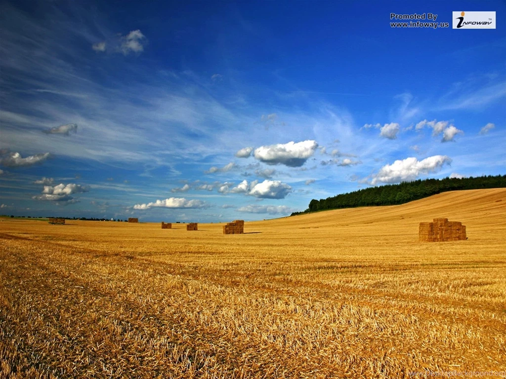Beautiful Summer Scenery Photo 234 Of 413