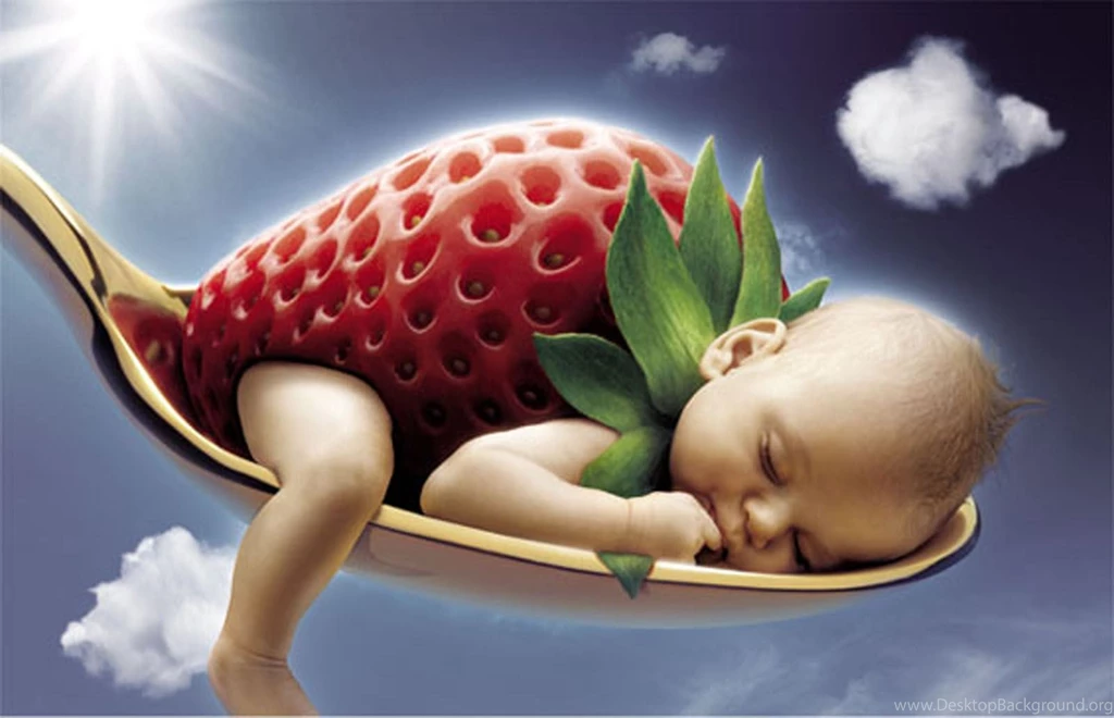 Funny Wallpapers Makes The Day More SubstantiveFunees.com
