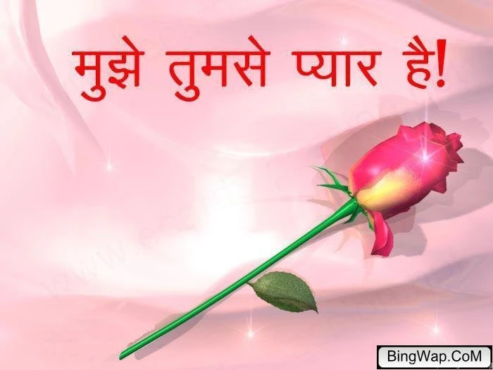 Download Rose Love Wallpapers