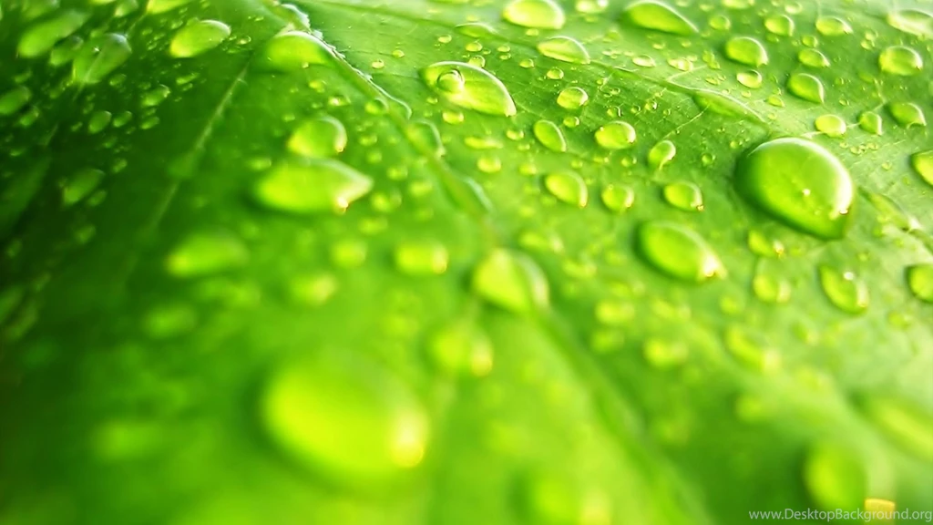 Nature Page 885