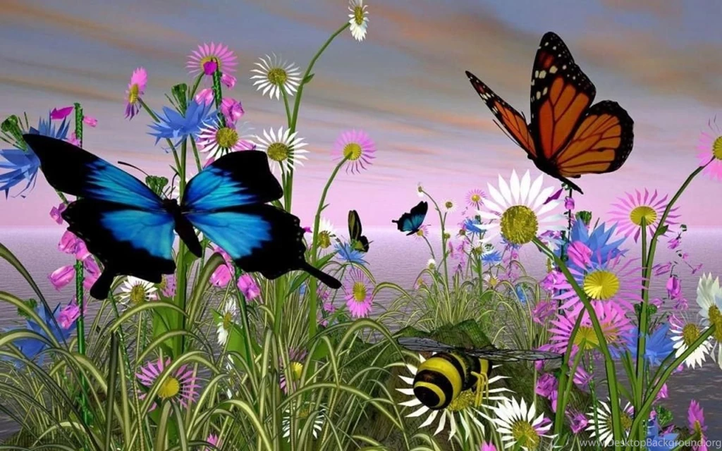 Beautiful Butterflies Wallpapers 175028