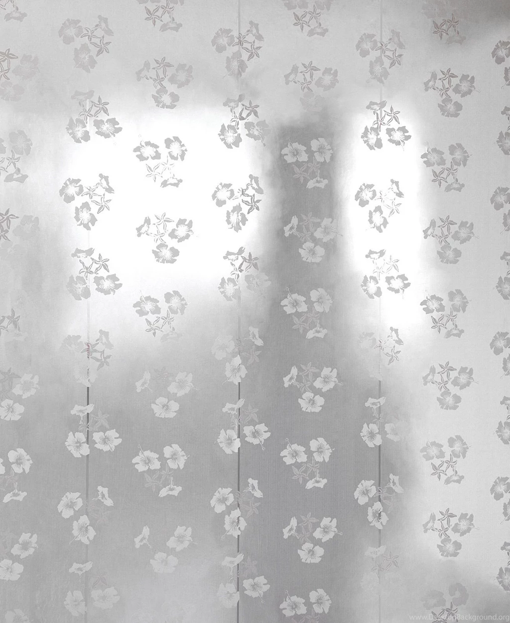 Black Silver And White Wallpapers HD Wallpapers And Pictures