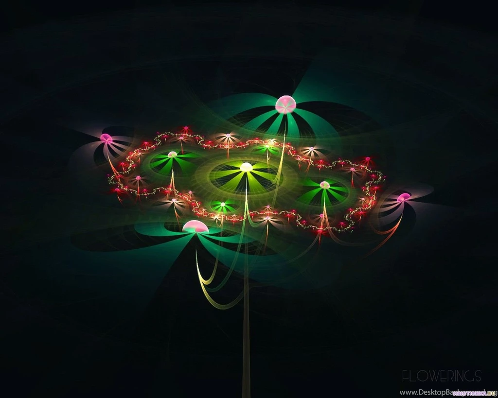 Kinds Of Wallpapers: Flower Wallpapers For Desktop
