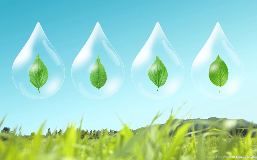 Free Wallpapers   Free Nature Wallpapers   Green Leaf 4 Wallpapers ...