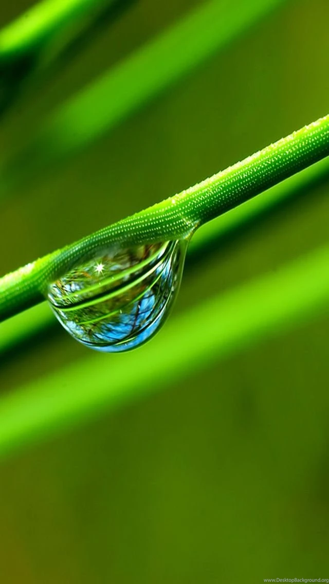 Best iPhone 5 Wallpapers IOS 9 Included – Tech Brij