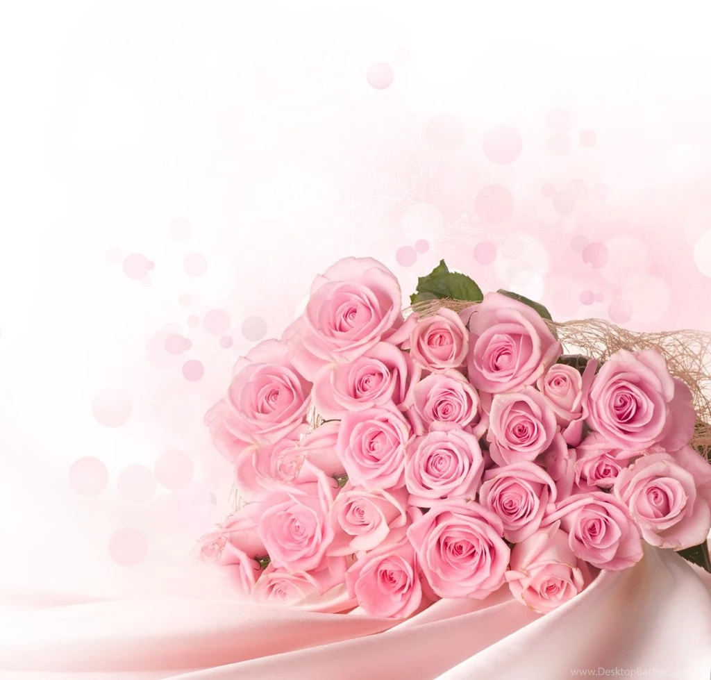 Floral Wallpapers 31086 Flowers Photo Flowers