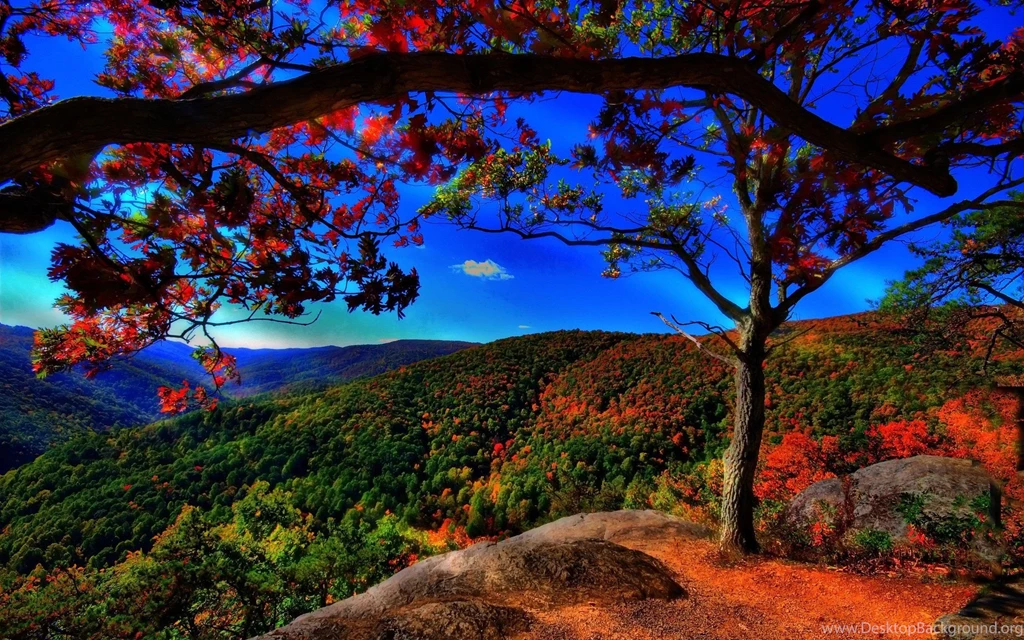 Best Scenery HD Wallpapers
