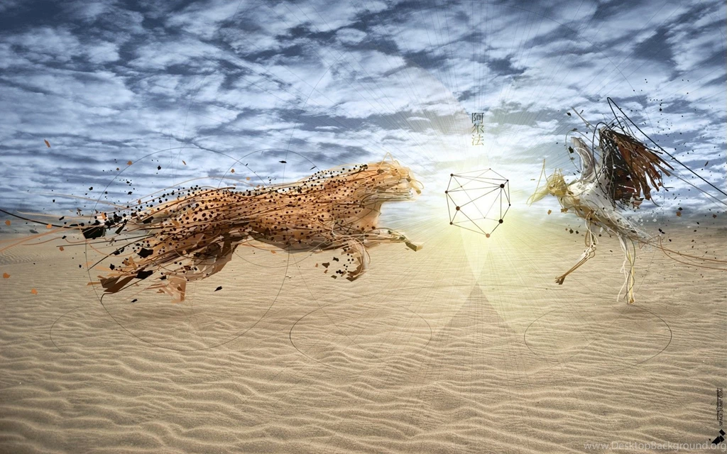 Creative Cheetah Fight HD Wallpapers New HD Wallpapers