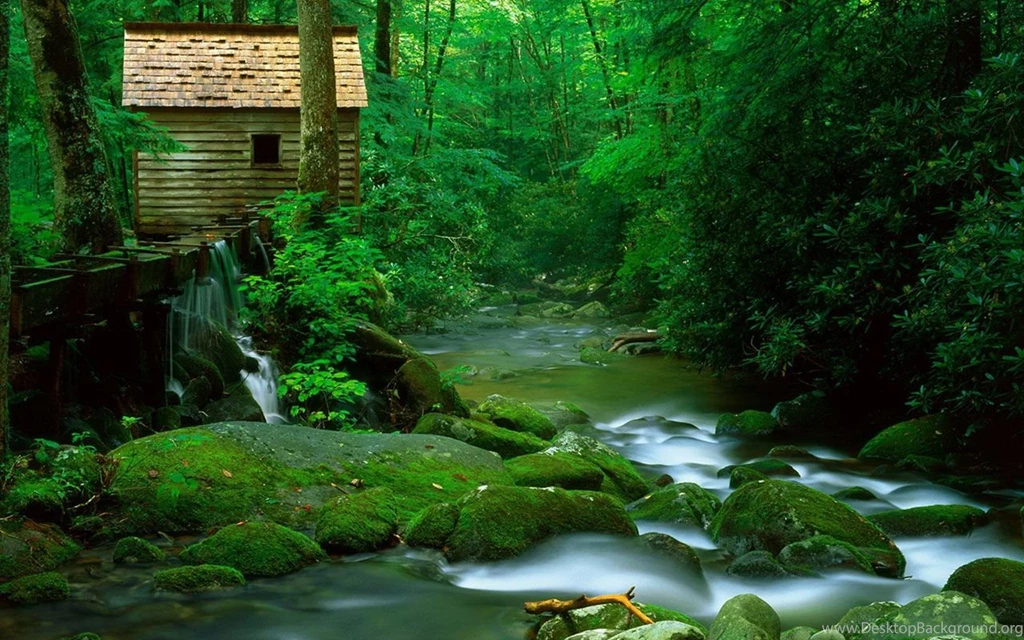 Live Wallpapers 1 For Windows 10   Wallpapes HD