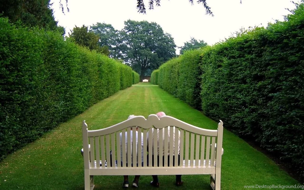 Garden Live HD Wallpapers Download   Garden Live HD Wallpapers 1.1 ...