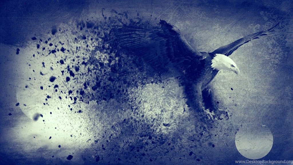 Creative Crow Birds HD Wallpapers New HD Wallpapers
