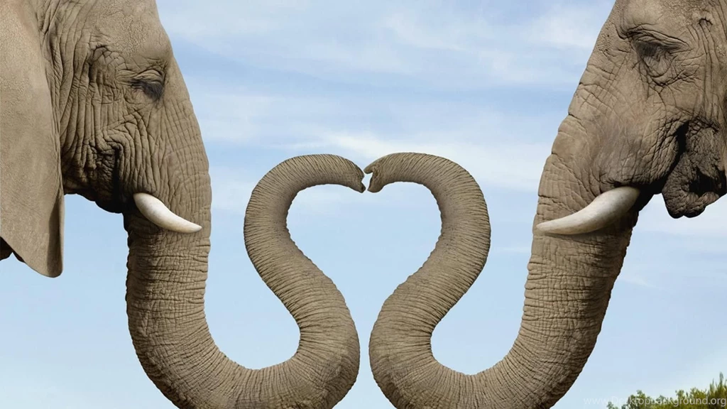 Best Love Wallpapers In The World For Facebook2.jpg